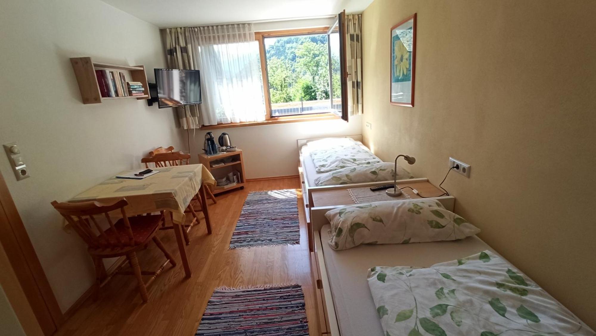 Standard Twin Room Mountain View