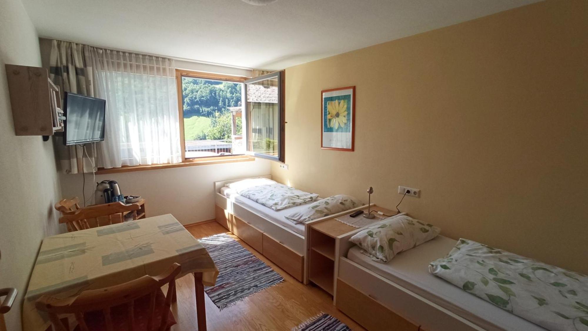 Standard Twin Room Mountain View